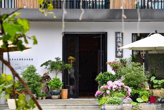 浙江临安天目山好山好水好民宿最美老板娘还会酿酒