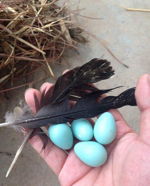 我头一次见这么疼媳妇的, 把抠门说的这么清新脱俗的