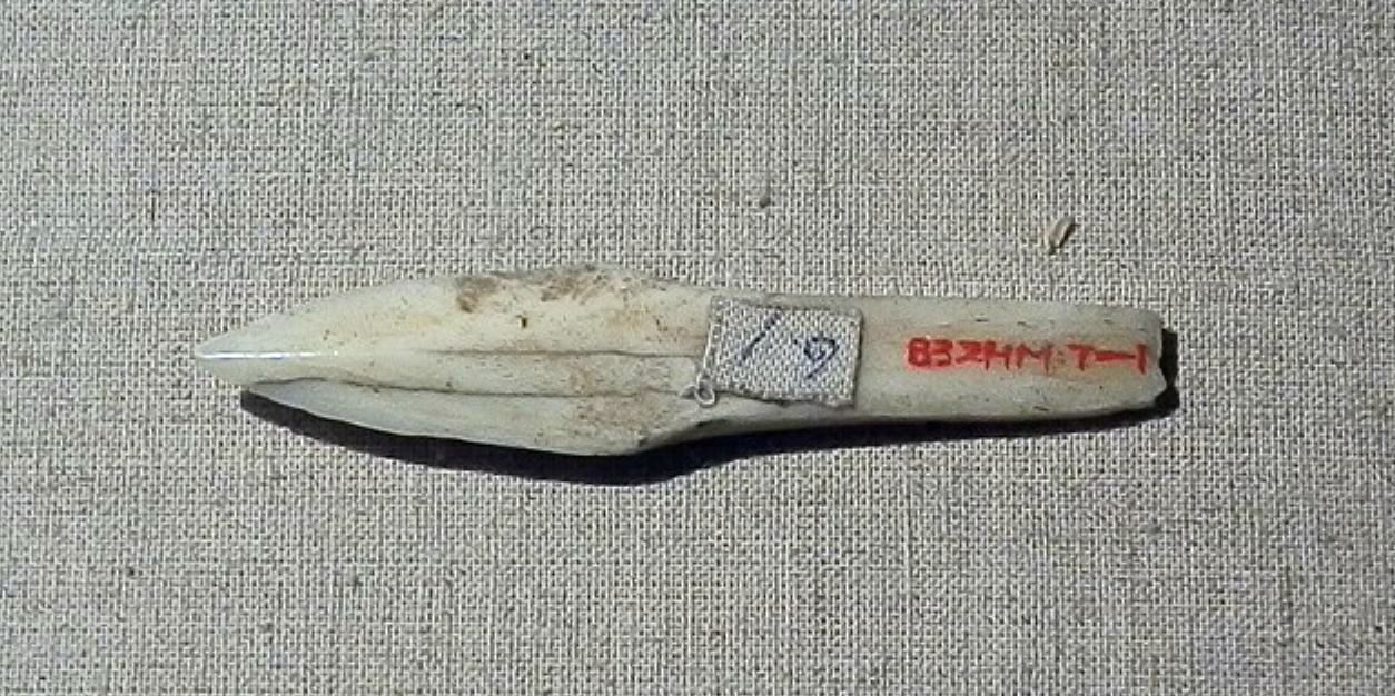 上古时代的石质箭头已经相当精美了