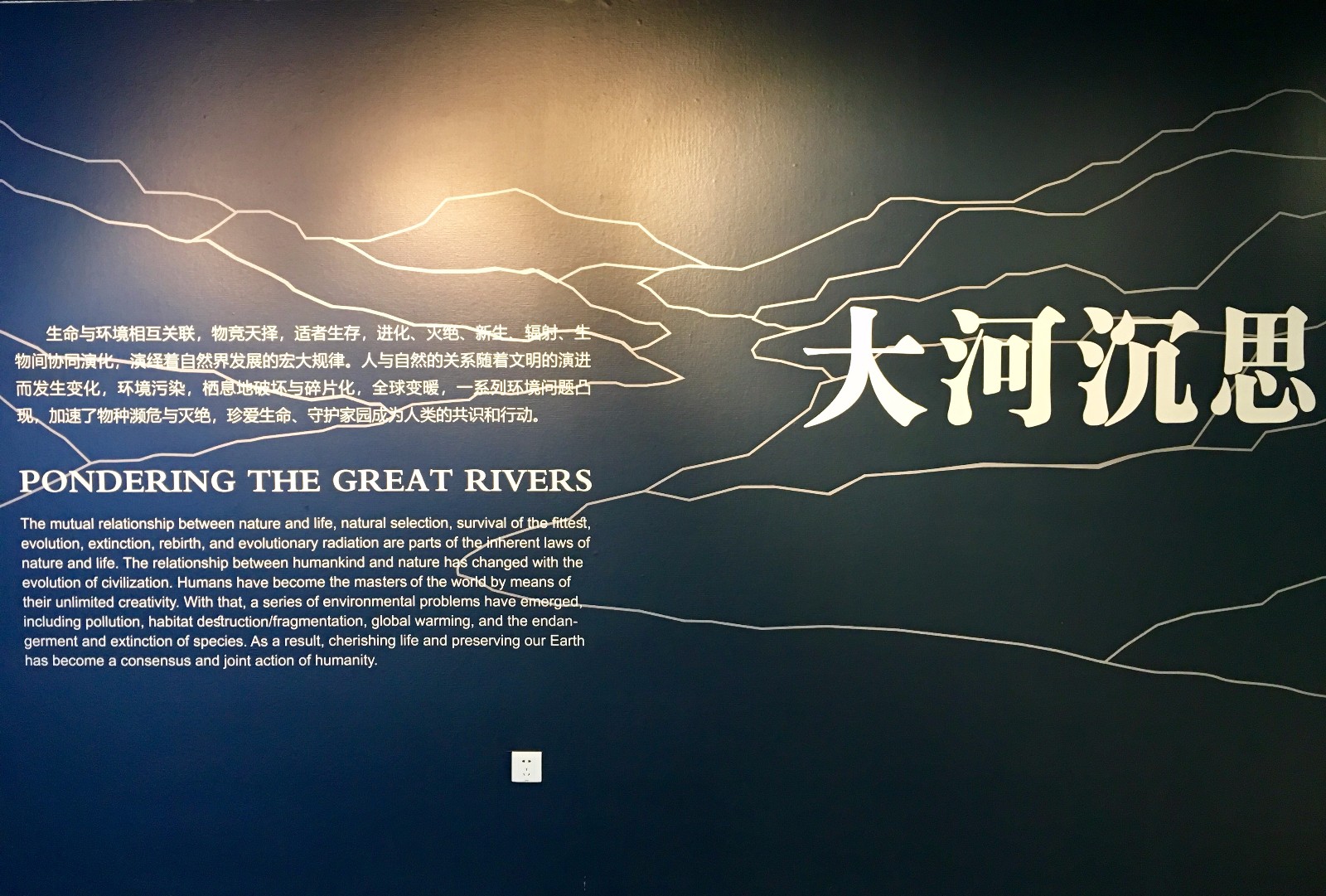 2018年7月18日正式开馆的武汉自然博物馆贝林大河生命馆一