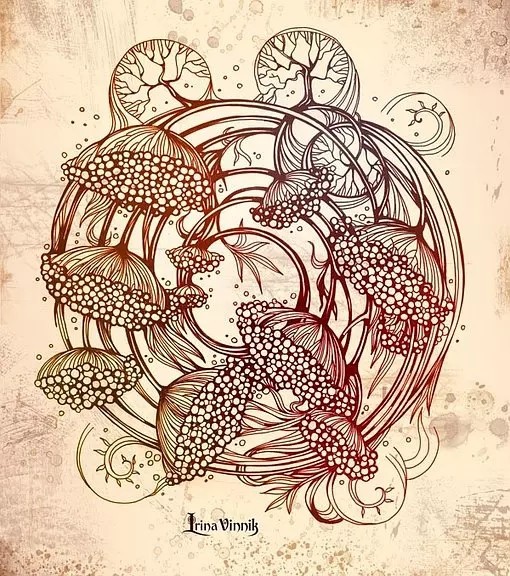 漂亮复杂的手绘线稿欣赏- irina