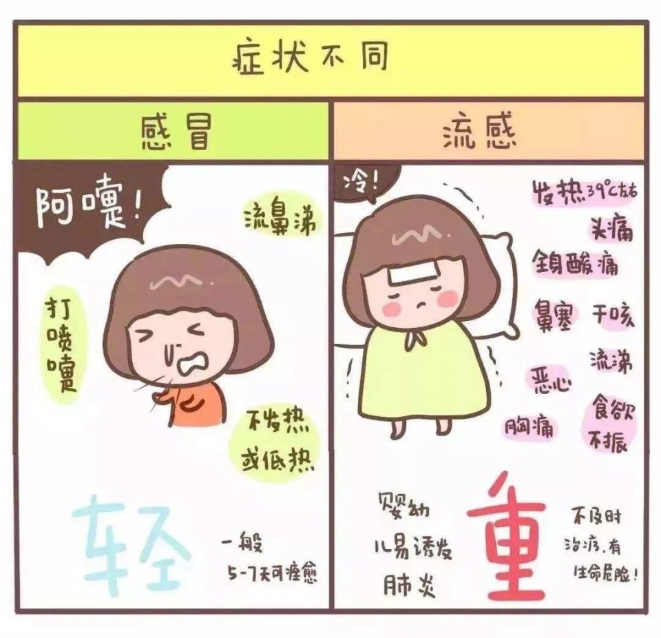 认清真相对症治疗!|流感|感冒|症状_新浪新闻