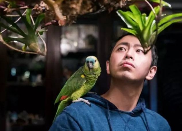 《最强大脑》水哥再遭惨败,赛后才敢发文说出失败原因