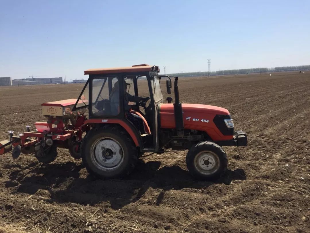 辽西干旱地区12日之前没有透雨!干埋还是等雨