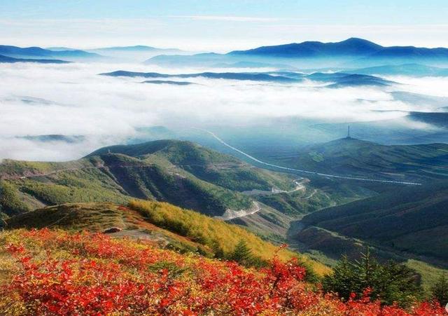 塞上江南好风光,宁夏十大美景推荐