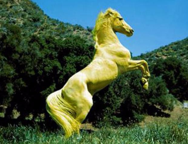 刘备的卢马三国时期刘备的坐骑