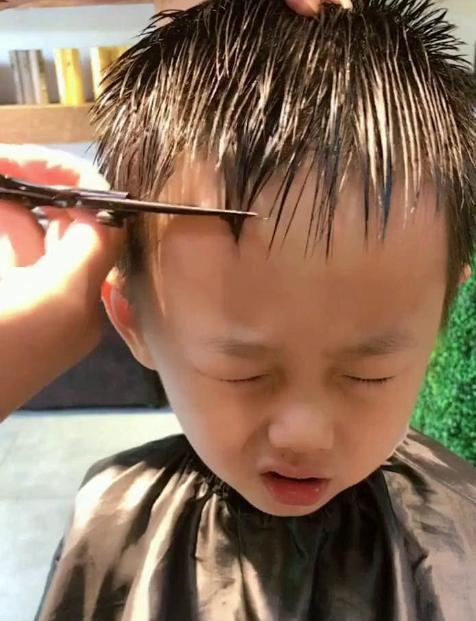 小男孩剪头发好像很痛一样,剪完飞机头秒变小帅哥,全幼儿园最帅