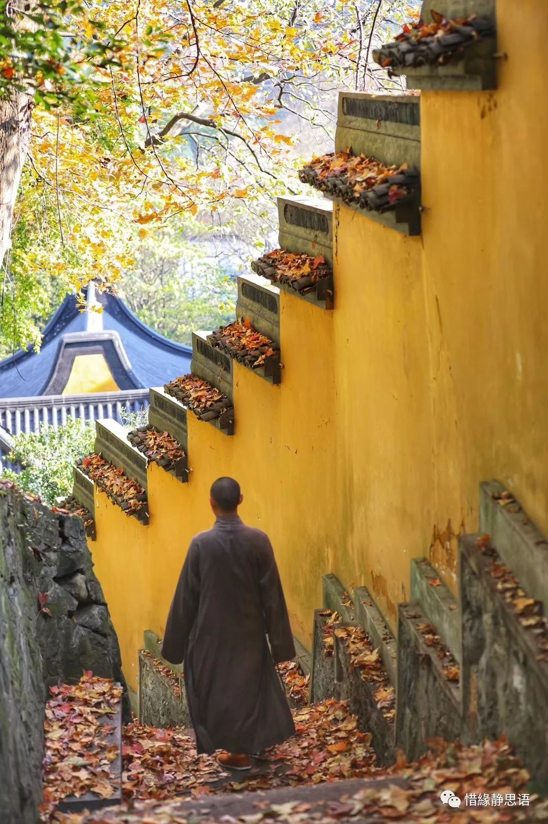 觅禅踪佛国一组小和尚拍摄的古寺图集