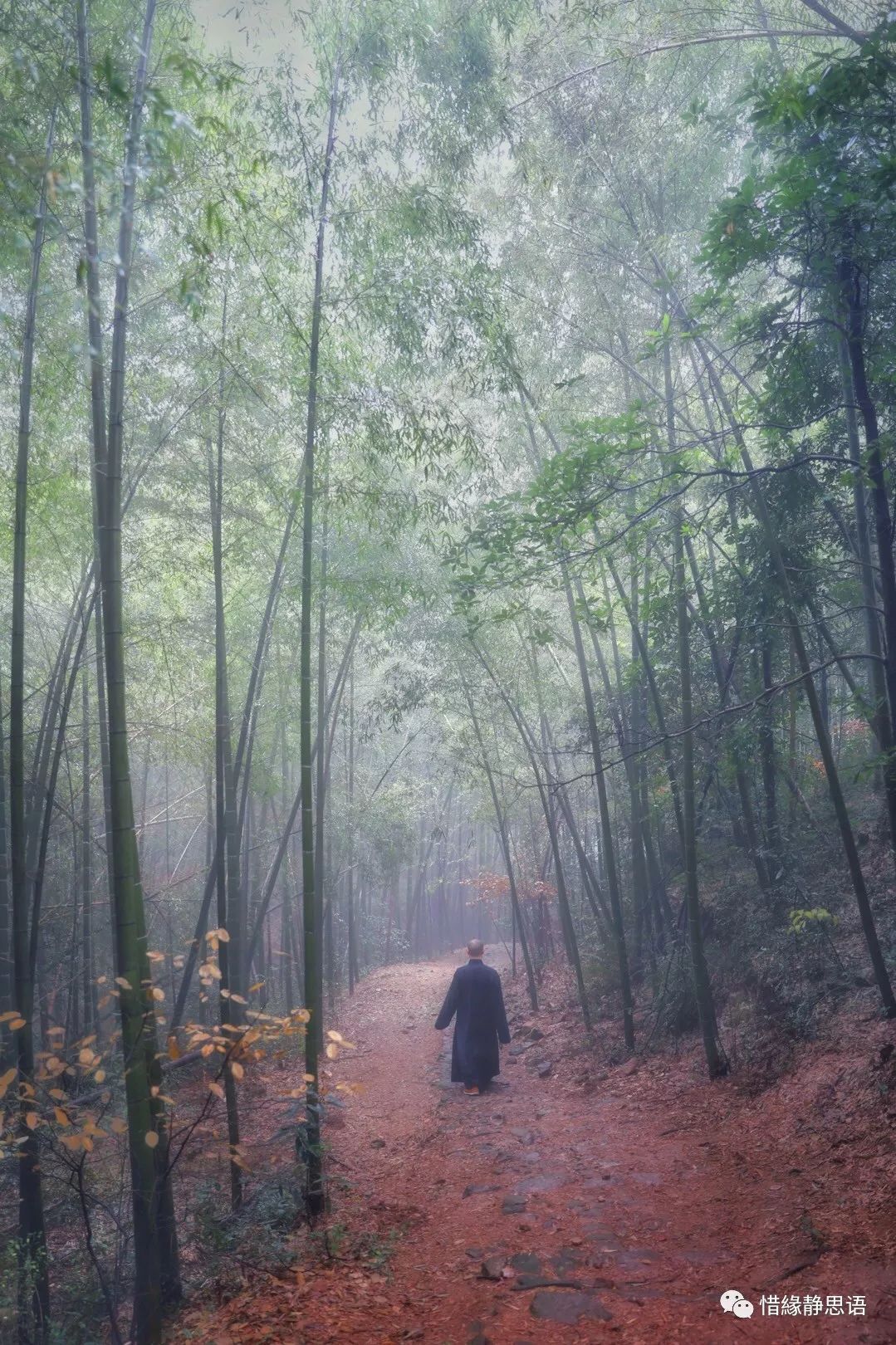 觅禅踪佛国一组小和尚拍摄的古寺图集