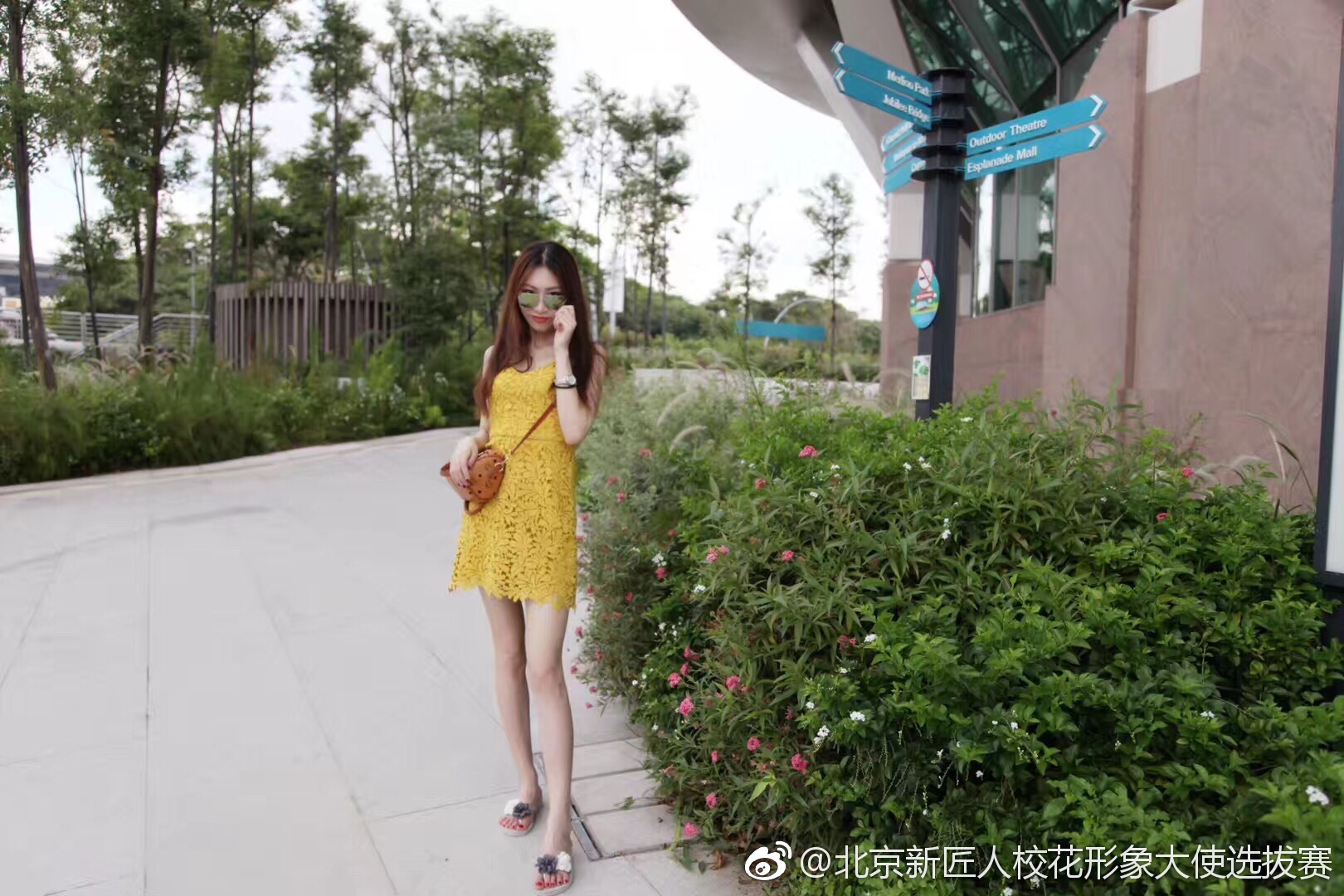 微博|千艺|朱学东|千惠_新浪新闻
