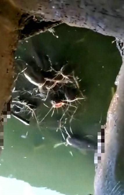 这么个厕所,这也太原生态了,水库边上建的.