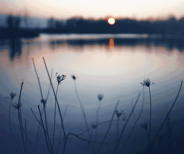 唐诗宋词中的慢生活,太令人向往了!