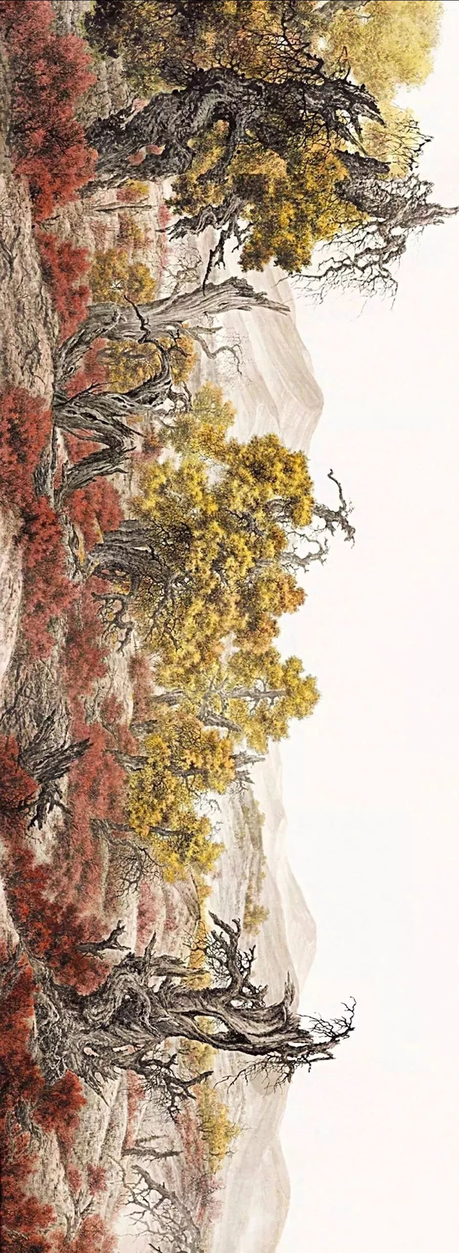 胡杨礼赞_张介宇