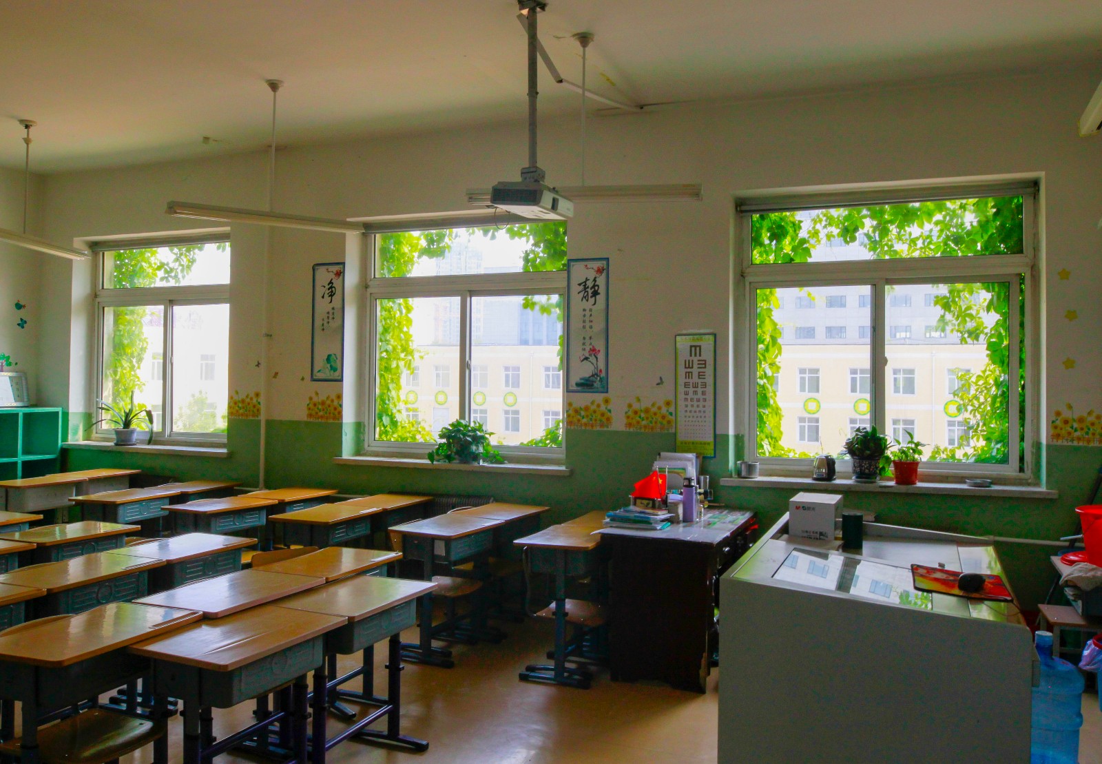 沈阳:爬山虎爬满墙成"绿楼" 碧绿如森林城堡