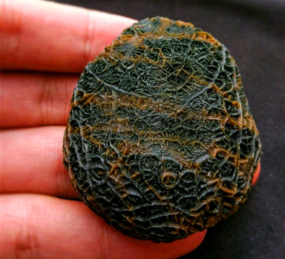 男子戈壁探险发现一"罕见奇石",仔细一看,两眼发傻了