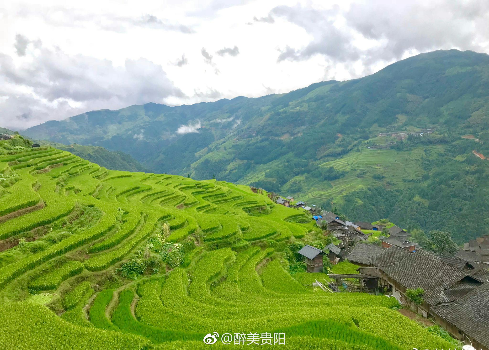 来贵州,让生活返璞归真,让身体回归自然|贵州|自然|旅游_新浪新闻