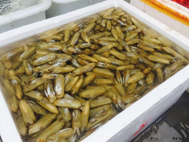 比三亚人少，比青岛海鲜多！这个明星都常来的海岛，景美消费低！