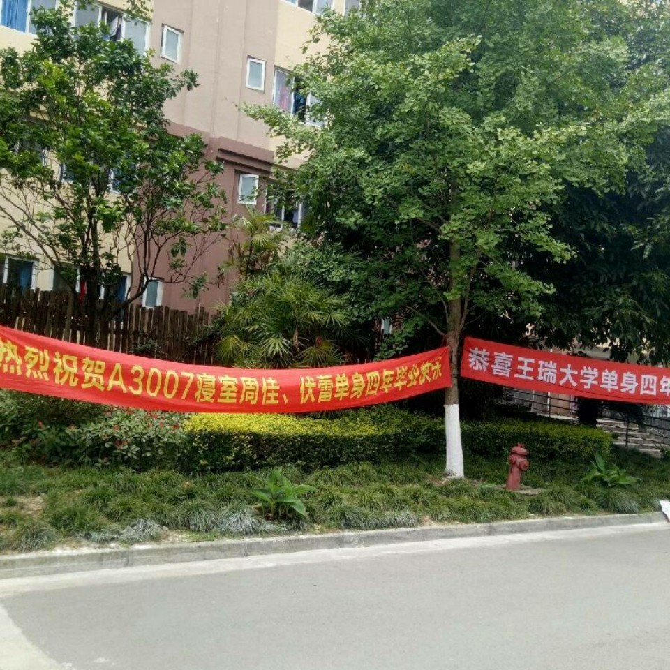 校园内现"奇葩"横幅 祝同学大学单身四年[doge]