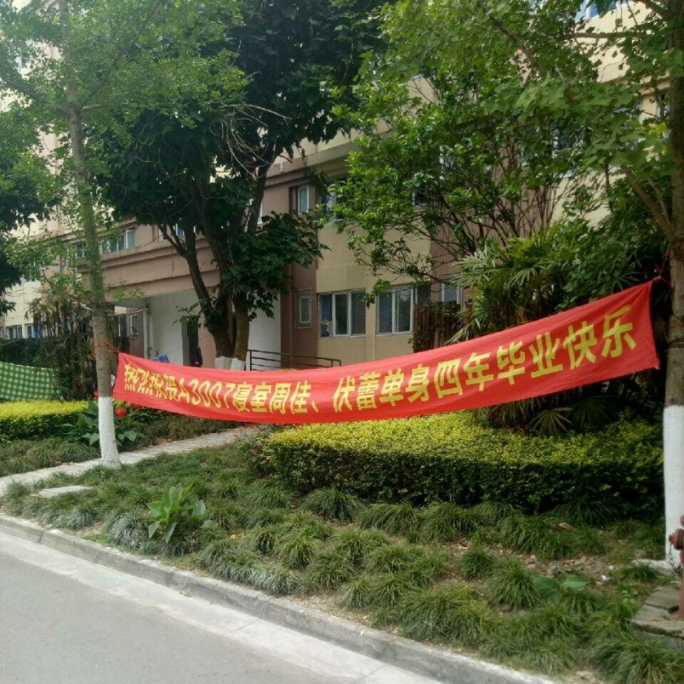 校园内现"奇葩"横幅 祝同学大学单身四年[doge]