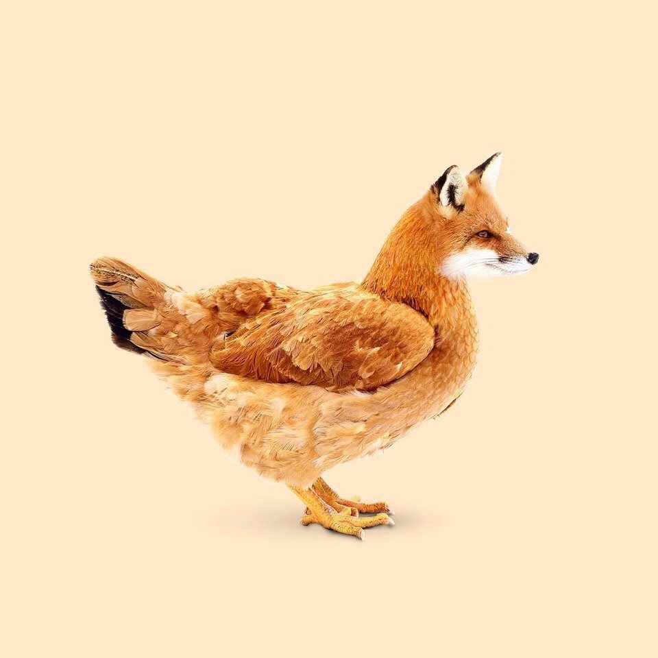 创意拼图,脑洞大开 | 创意机构les creatonautes