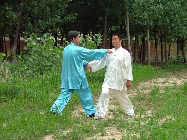 两仪混元功法养生揭秘|太极|两仪|混元_新浪新闻