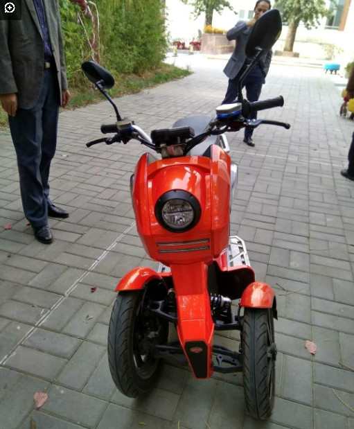 其他的车子从远处看,外形差不多,但近前看,前面却有两轮,而后面是一轮