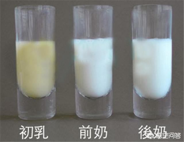 初乳的颜色一般是黄色,比较稠.产妇生产后4到5天内的乳汁称为初乳.