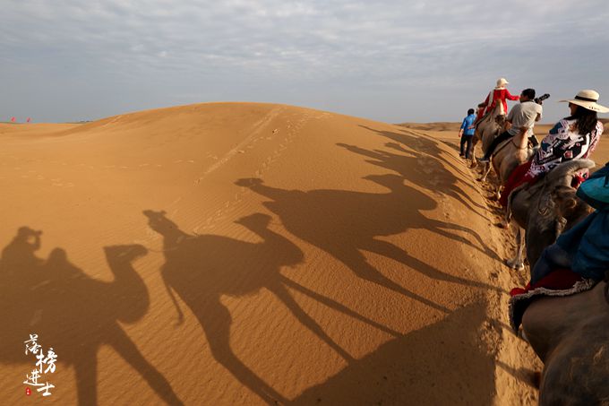 内蒙响沙湾令人震惊的骆驼队这是沙漠中最美的风景