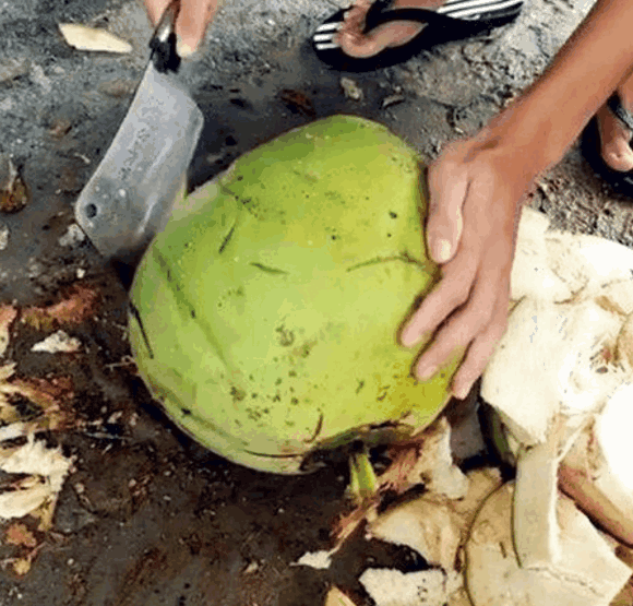 男子买椰子解渴,越砍越不对劲,砍到最后愣住了
