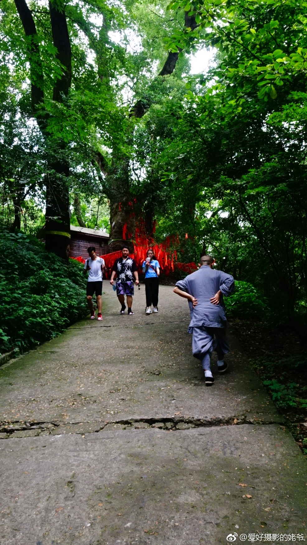 岳麓山.看过书院总是要爬山的,只有达到山顶,才会看到最美的风景