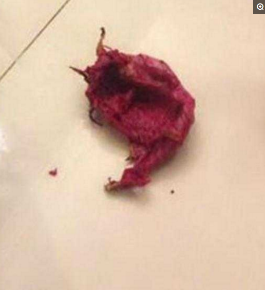 主人发现哈士奇一脸血迹,看见地上的东西,气得差点没吐血!