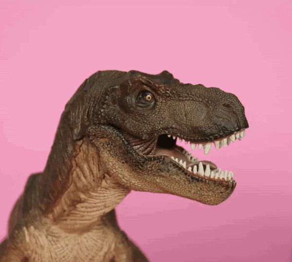 丹佛恐龙岭看完这小小的生物,想不想再看看威风的巨兽呢?