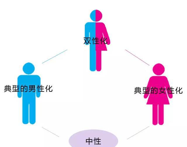 哪些小说和阅读资源符合都市情感与性别探索 哪些性别与情感主题小说更受欢迎