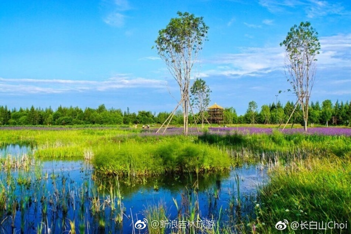 二道白河湿地花海开放时间为7月初至9月中旬,最佳观赏时间在8月