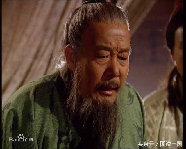 此人是诸葛亮的接班人|魏延|杨仪|费祎_新浪新闻