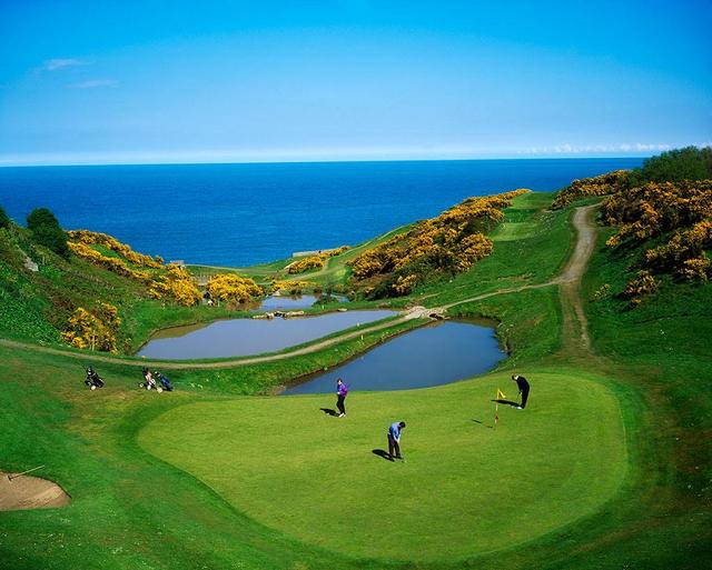 欧洲有一个翡翠之岛,这里的一切都是童话里的景象,这里是爱尔兰