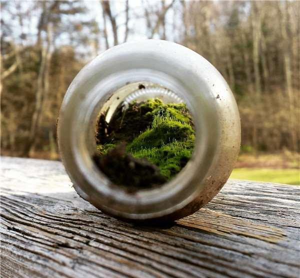 在自家后院挖到的14件诡异物品大盘点, 这些东西真是千奇百怪啊