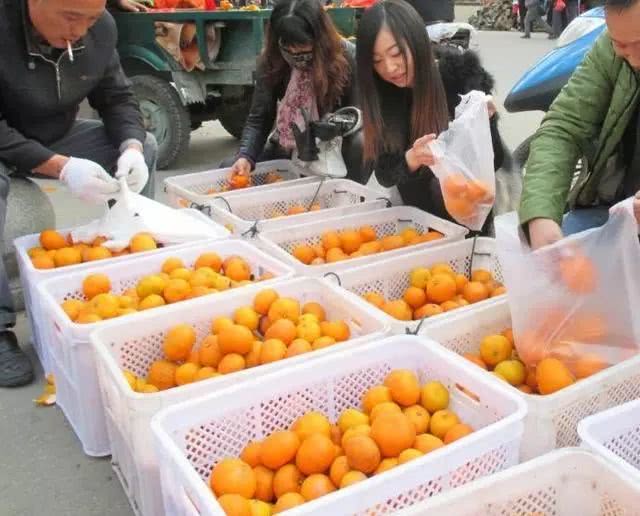 买橘子时,别傻傻专挑金黄色的!牢记这"3点",保准一挑一个甜