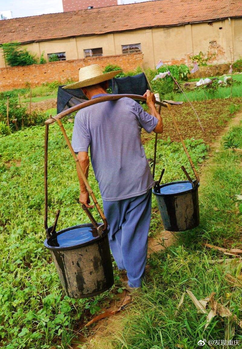 "扁担是条龙,一生吃不穷"