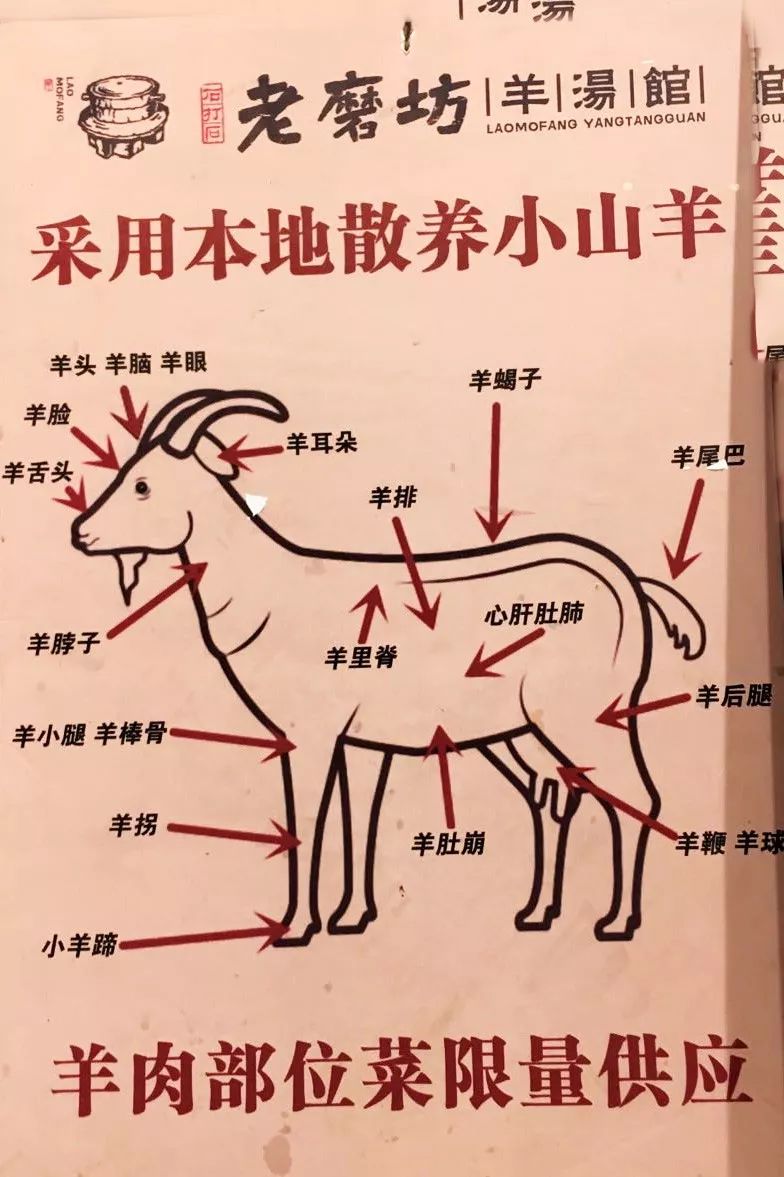 在徐州,没有一只羊能活过三伏天,莫负好食光,徐州吃伏羊!