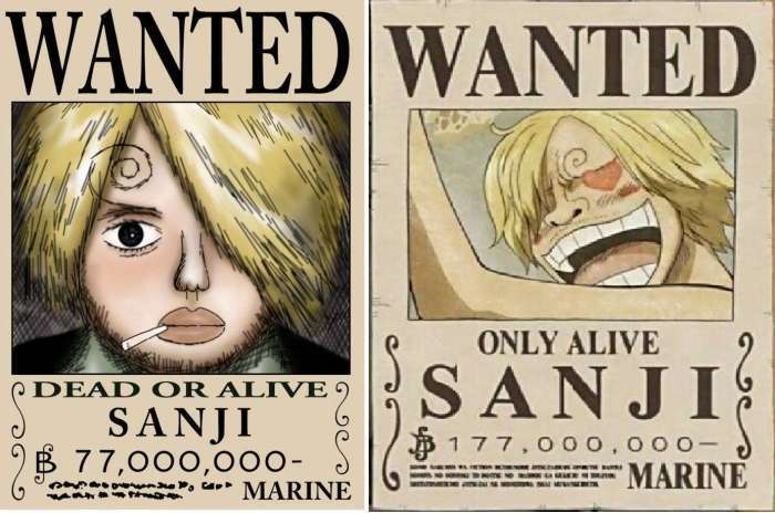 山治前后两张悬赏令都照得非人类……5,山治大海那么大,海军不可能