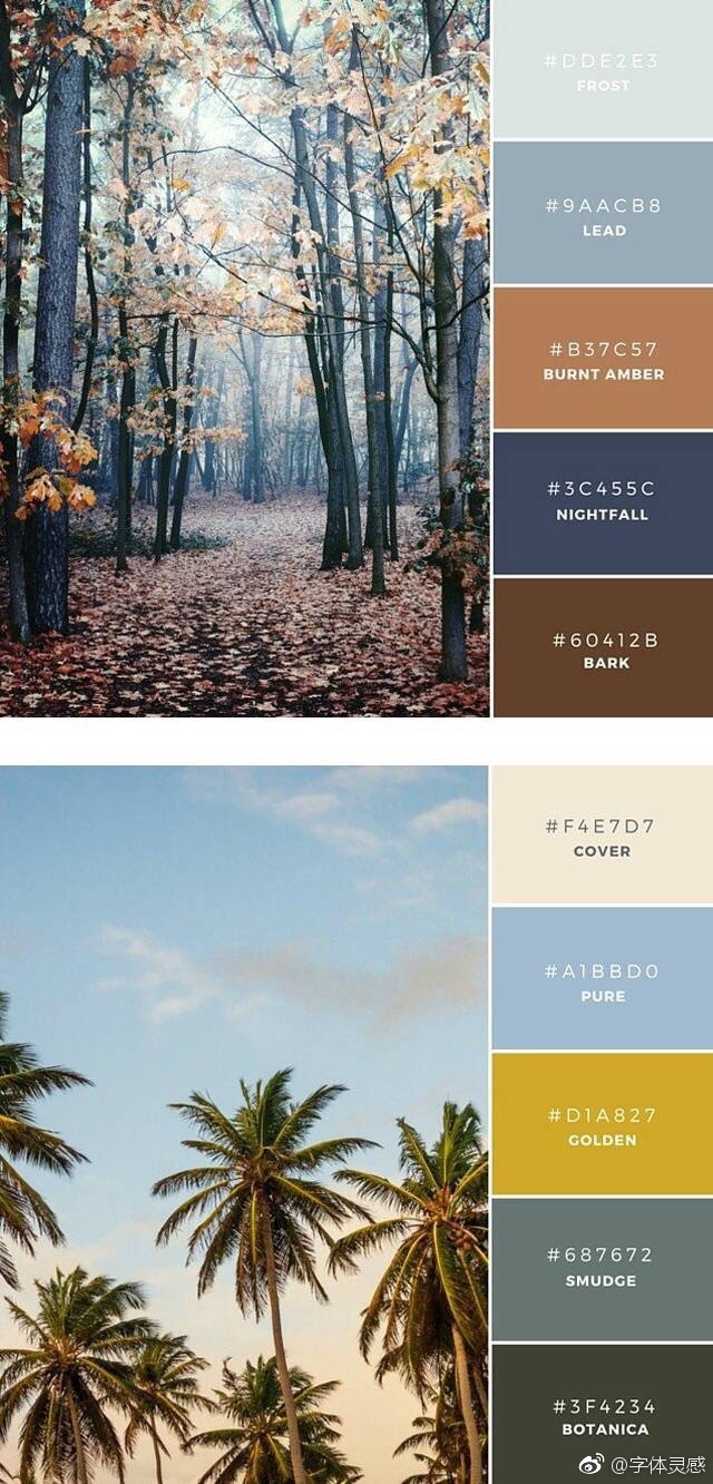 自然配色灵感参考
