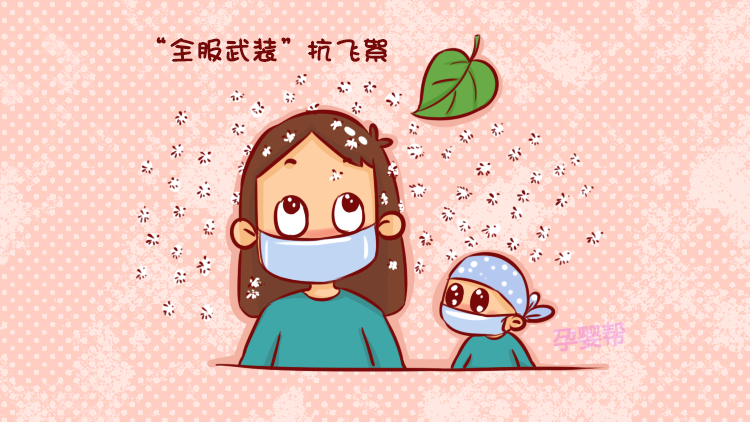 全城飞絮"十面埋伏",易过敏宝宝如何逃过此劫?