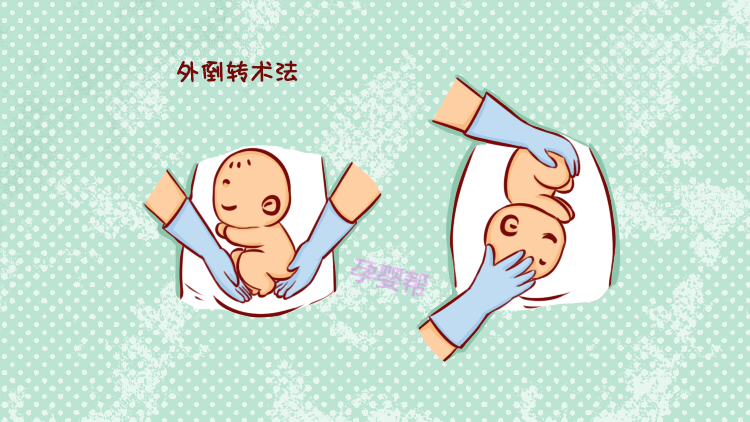 53c9-harvfhu4068345.png