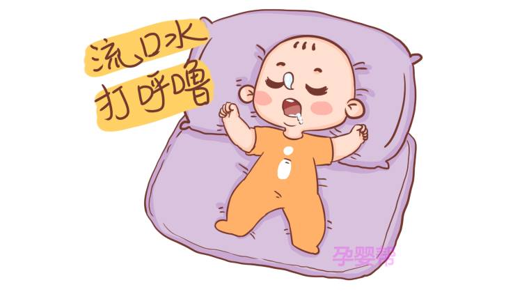 8113-hhhczfa6774580.png