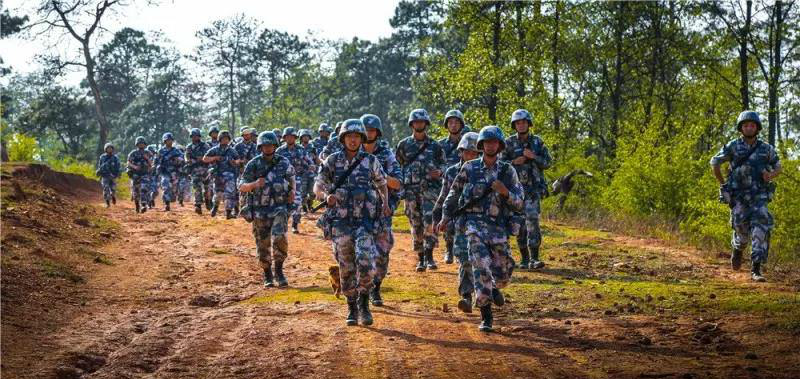 海军陆战队高原实战,步坦炮协同出击,锤炼能打硬仗的部队_新浪看点