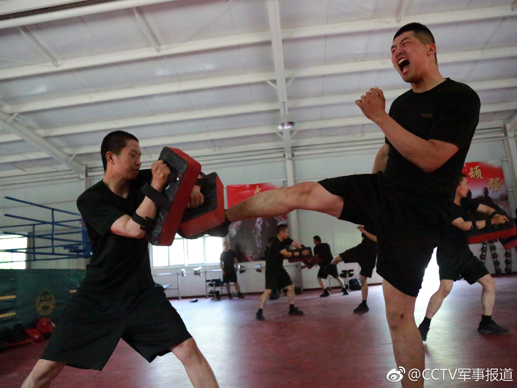 帅到模糊 直击武警搏击训练现场|武警|官兵|张峻豪|石嘴山|技战术_新浪新闻