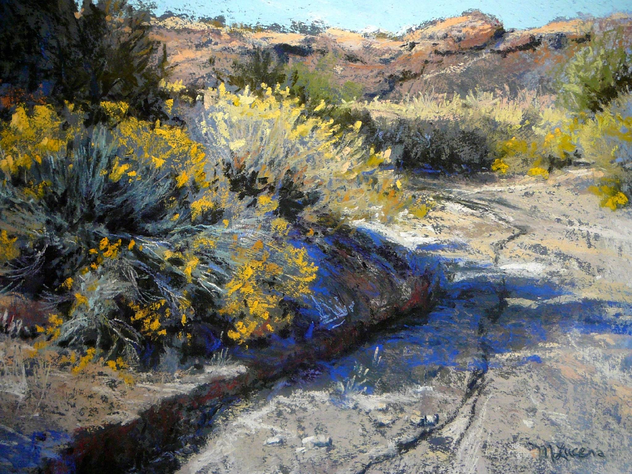 美国艺术家 margi lucena 风光绘画作品