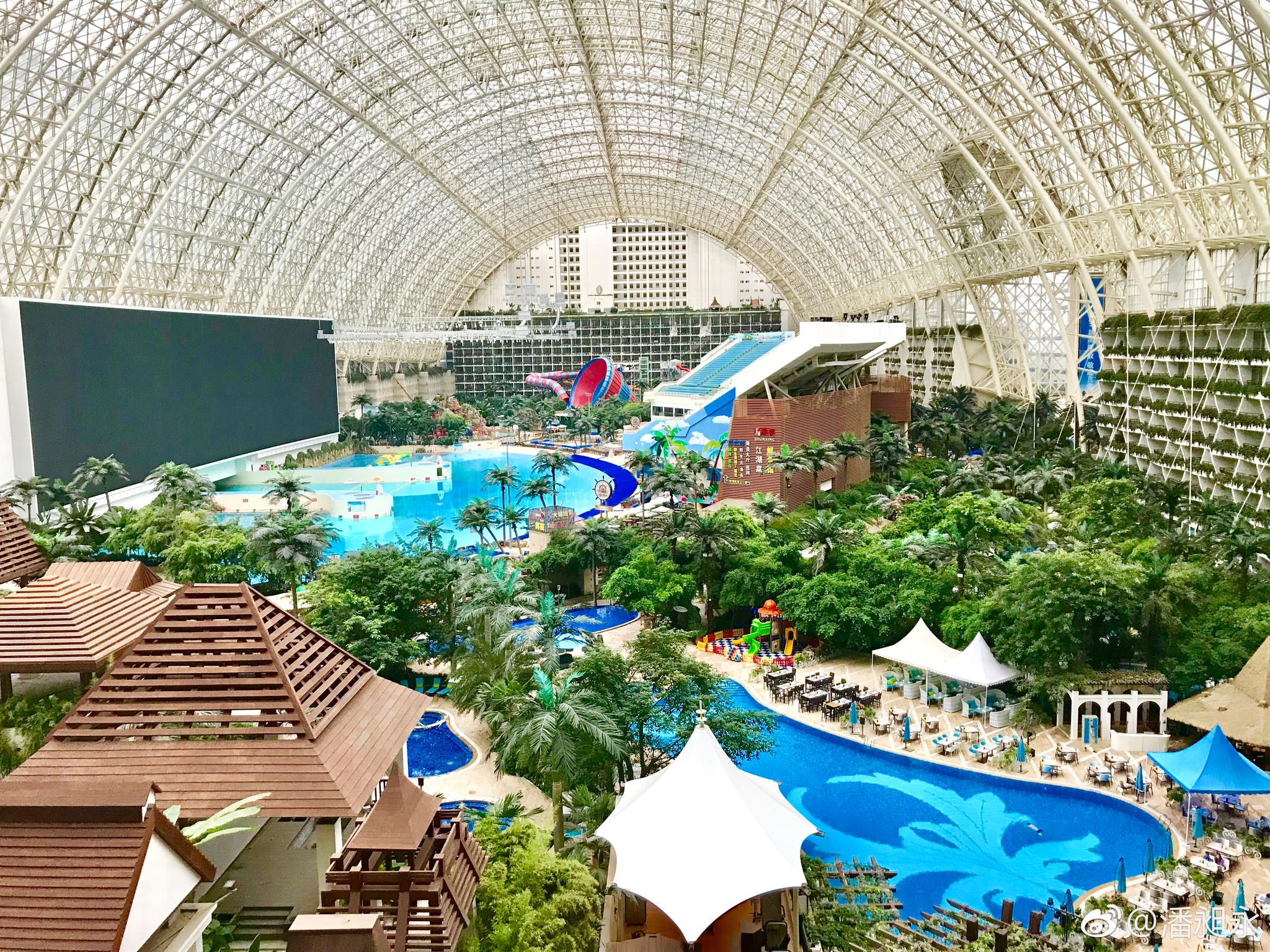 早安,成都|新浪|天堂岛|池畔_新浪网