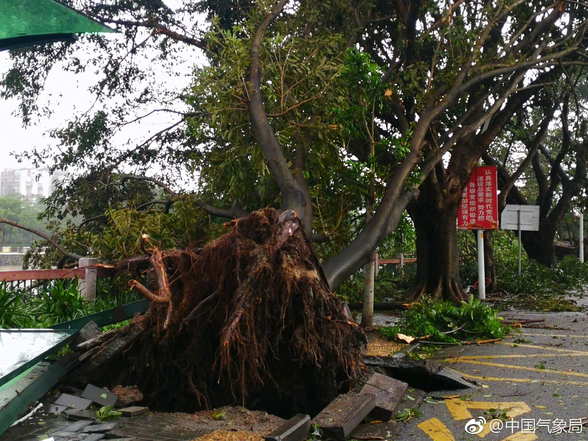 江门:9月17日早上8点,台风"山竹"中心已经进入广西境内